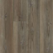 Shaw Floors Resilient Residential Paladin Plus Ripped Pine 07047_0278V