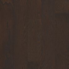 Shaw Floors Duras Hardwood All In II 5 Chocolate 07011_HW582