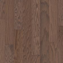 Shaw Floors Shaw Hardwoods Albright Oak 5 Kona Lg 07091_SW582