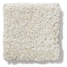 Anderson Tuftex Vercelli Pearl 02DDF_00133
