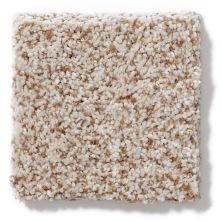Anderson Tuftex Vercelli Wheat 02DDF_00212