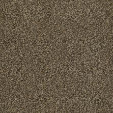 Anderson Tuftex SFA New Direction Taupe 00728_02SSF