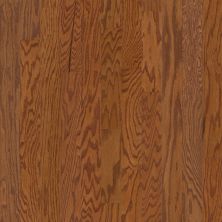 Shaw Floors Shaw Hardwoods Albright Oak 3.25 Gunstock 00780_SW581