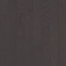 Shaw Floors Shaw Hardwoods Albright Oak 3.25 Charcoal 05013_SW581