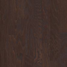 Shaw Floors Shaw Hardwoods Albright Oak 3.25 Chocolate 07011_SW581
