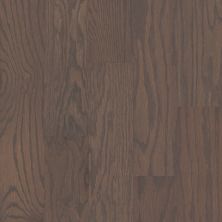 Shaw Floors Shaw Hardwoods Albright Oak 5 Weathered 00543_SW582