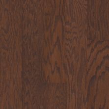 Shaw Floors Shaw Hardwoods Albright Oak 5 Hazelnut 00874_SW582