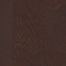 Shaw Floors Shaw Hardwoods Albright Oak 5 Coffee Bean 00938_SW582