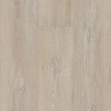 Shaw Floors Resilient Property Solutions Virtuoso Everest Oak 00901_035CT