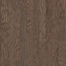 Shaw Floors Repel Hardwood Timeless Oak 3.25″ Weathered 00543_SW699