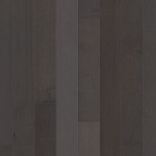 Shaw Floors Shaw Hardwoods Eclectic Maple Contemporary 09028_SW697