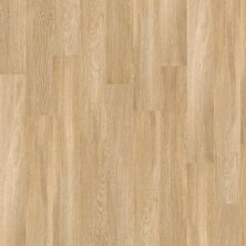 Shaw Floors Resilient Residential Columbia 12 River 00344_0369V