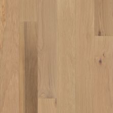 Shaw Floors Repel Hardwood Americana Oak Ethos 02079_SW772