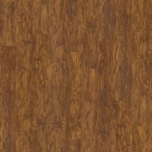 Shaw Floors Resilient Residential Classico Plank Oro 00255_0426V