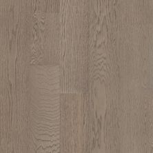 Shaw Floors Repel Hardwood Americana Oak Graphite 05114_SW772