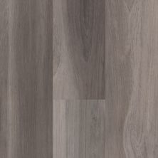 Shaw Floors Resilient Residential Easy Influence HD Ardeo 05009_045VF