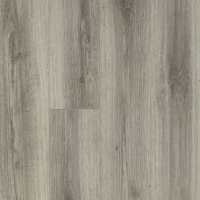 Shaw Floors Resilient Residential Balboa Plus Lince 00571_0460V