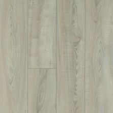 Shaw Floors Resilient Residential Mojave HD Plus Tufo 00589_0461V