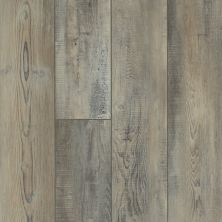 Shaw Floors Resilient Residential Mojave HD Plus Tempesta 00594_0461V