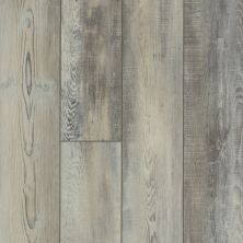 Shaw Floors Resilient Residential Mojave HD Plus Calcare 00598_0461V