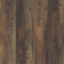 Shaw Floors Resilient Residential Mojave HD Plus Orso 00794_0461V