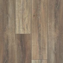 Shaw Floors Resilient Residential Mojave HD Plus Sorrento 00813_0461V