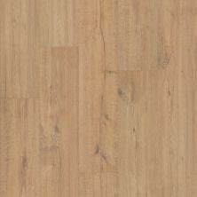 Shaw Floors Waterproof Laminate Oak Grove Sienna Drift 07747_SL119