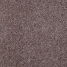 Shaw Floors Queen Alt B Profile Elephant Herd 02062_05020