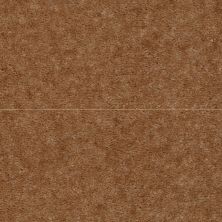 Shaw Floors Queen Alt B Profile Moccasin 02529_05020