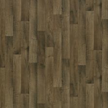Shaw Floors Resilient Residential Coastal Classics Harbor Brown 00751_0509V