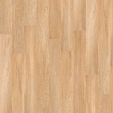Shaw Floors Resilient Residential Mrct 9 Paris 00343_0606V