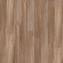 Shaw Floors Resilient Residential Mrct 9 Seattle 00574_0606V