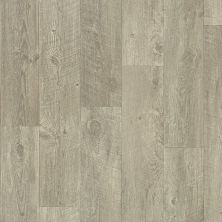 Shaw Floors Resilient Residential Apollo Tricca 00534_0614V