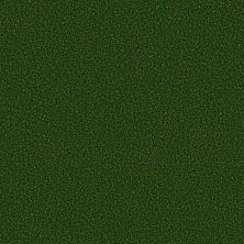 Shaw Grass Arena Turf 5mm Field Green 00300_081SG