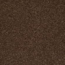Shaw Floors SFA Vivid Colors I Rich Leather 00705_0C160