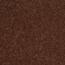 Shaw Floors SFA Vivid Colors II Rich Leather 00705_0C161
