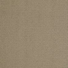 Shaw Floors SFA Live With Me Perfect Taupe 00700_0C198