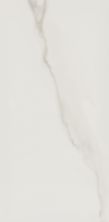 Shaw Builder Flooring Toll Brothers Ceramics Wynnstone 24×48 Pl Quartzite 00160_TL31E