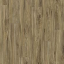Shaw Floors Reality Homes Dungeness Whispering Wood 00405_100RH