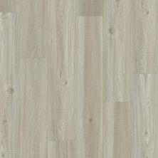 Shaw Floors Reality Homes Dungeness Washed Oak 00509_100RH