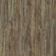 Shaw Floors Reality Homes Dungeness Tattered Barnboard 00717_100RH