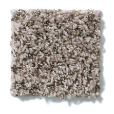 Shop Shaw Floors Believe It 13 7 Tavern Grey 00500 100se Carpet Staff Carpet