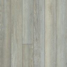 Resilient Residential Paragon 5″ Plus Shaw Floors  Silo Pine 00190_1019V