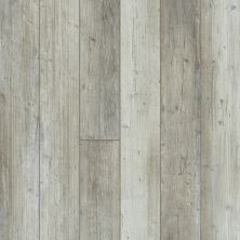 Shaw Floors Resilient Residential Paragon 5″ Plus Distinct Pine 05039_1019V