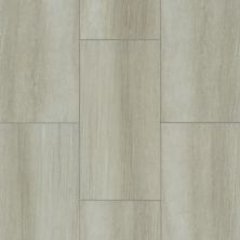 Shaw Floors Resilient Residential Paragon Tile Plus Ash 01008_1022V