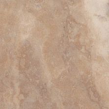 Shaw Resilient Residential 1022V PARAGON TILE PLUS 07052 CLAY 1022V_07052