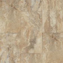Resilient Residential Paragon Tile Plus Shaw Floors  Clay 07052_1022V