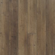 Shaw Floors Reality Homes Fremont 5″ Tactile Pine 07038_106RH