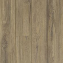 Shaw Floors Reality Homes Cascadia Fiano 00587_112RH