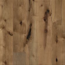 Anderson Tuftex Anderson Hardwood Transcendence Absolute 11074_AA806